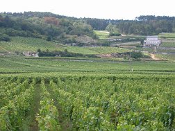 Vacances 2007_003