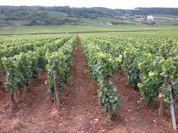 Vacances 2007_007