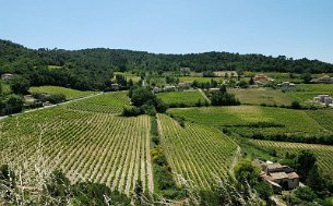 Provence-2008-016