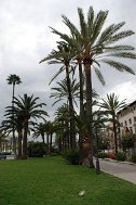Mallorca-0022 (2)