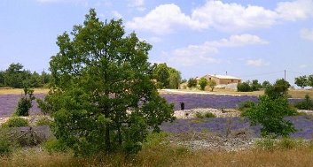 20090710_57