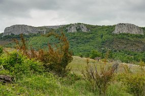 DD2_1763_-1_-2_fused