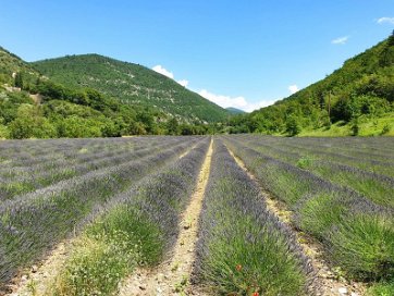 Provence