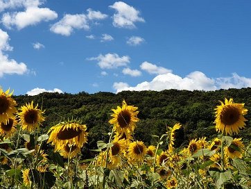 Provence