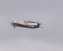 DD7_0532 (c)Denis Declercq photography